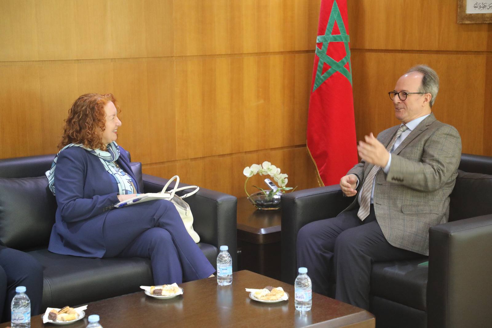 التباحث مع الممثلة المقيمة لبرنامج الأمم المتحدة الإنمائي